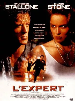 Affiche du film L'Expert