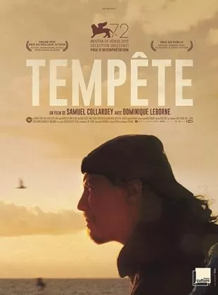 Affiche du film Tempête