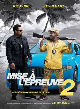 Affiche du film Mise à l'épreuve 2