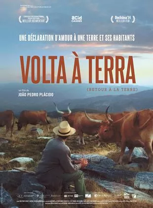 Affiche du film Volta à Terra