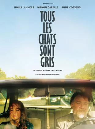 Affiche du film Tous les Chats sont gris