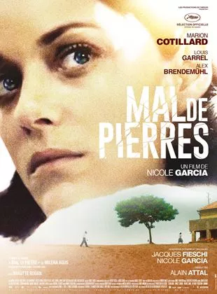 Affiche du film Mal de pierres