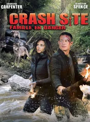 Affiche du film Ensemble face au danger