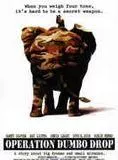 Affiche du film Operation Dumbo Drop