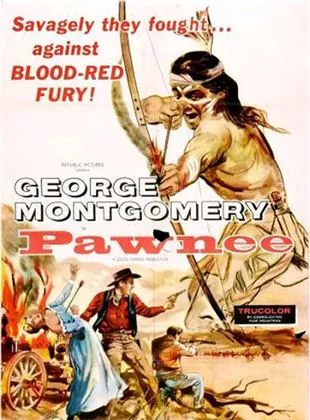 Affiche du film L'Indien blanc