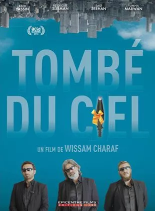 Affiche du film Tombé du ciel