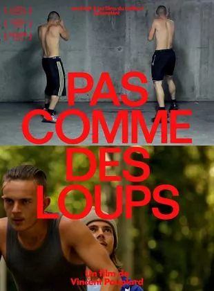 Affiche du film Pas comme des loups