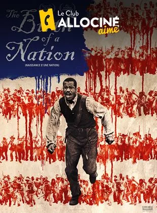 Affiche du film The Birth of a Nation