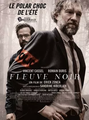 Affiche du film Fleuve noir