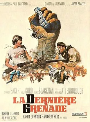 Affiche du film La Dernière Grenade