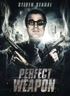 Affiche du film The Perfect Weapon