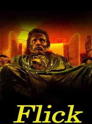 Affiche du film Flick