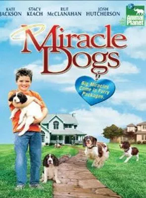 Affiche du film Un miracle à 19 pattes