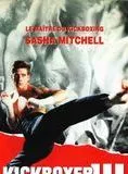 Affiche du film Kickboxer 3: Traffic à Rio