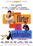 Affiche du film Flirter avec les embrouilles