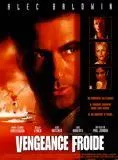 Affiche du film Vengeance froide