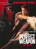 Affiche du film L'Arme Parfaite