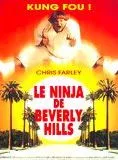 Affiche du film Le Ninja de Beverly Hills