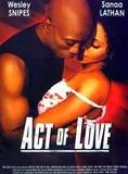 Affiche du film Act of Love