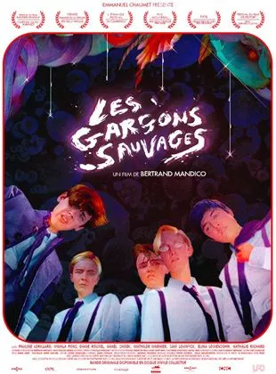 Affiche du film Les Garçons sauvages