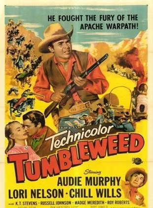 Affiche du film Qui est le traître?