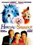 Affiche du film Hercule et Sherlock