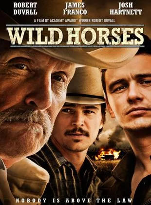Affiche du film Wild Horses