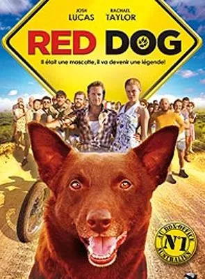 Affiche du film Red Dog